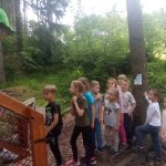 phoca_thumb_m_vp 17.6.2025  245 Fotogalerie